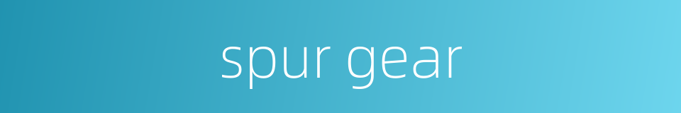 spur gear的同义词