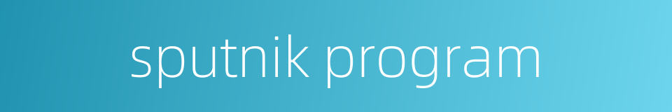 sputnik program的同义词