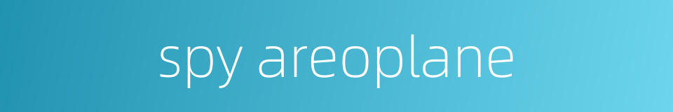spy areoplane的同义词