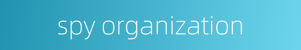 spy organization的同义词