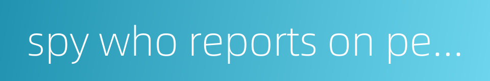 spy who reports on person's doings的同义词