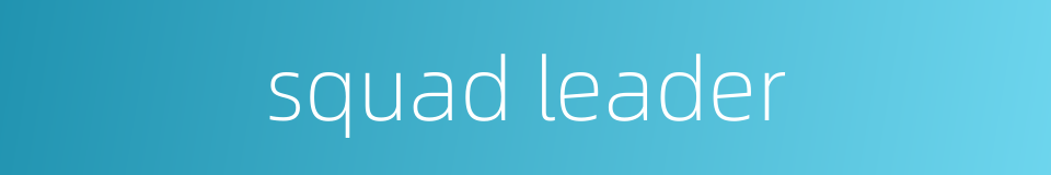 squad leader的同义词