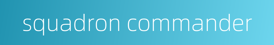 squadron commander的同义词