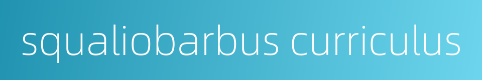 squaliobarbus curriculus的同义词