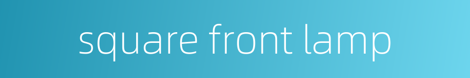 square front lamp的同义词