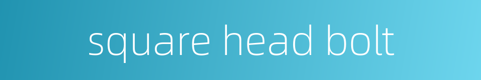 square head bolt的同义词