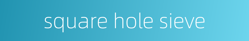 square hole sieve的同义词
