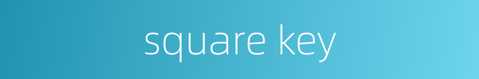 square key的同义词