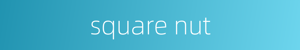 square nut的同义词