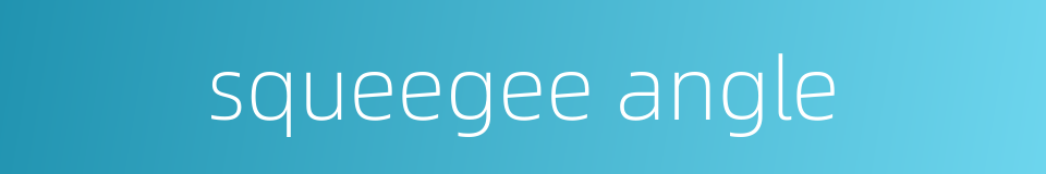 squeegee angle的同义词