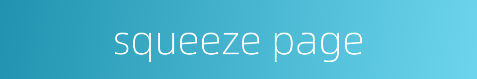 squeeze page的同义词