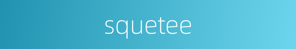 squetee的同义词