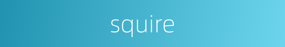 squire的意思