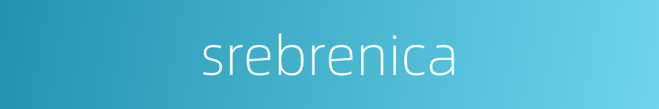 srebrenica的同义词