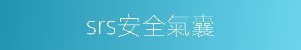 srs安全氣囊的同義詞