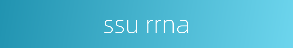 ssu rrna的同义词