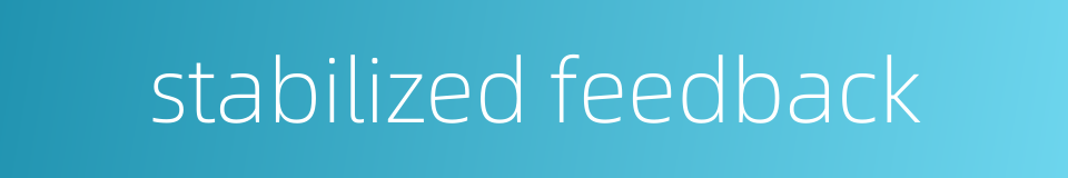 stabilized feedback的同义词