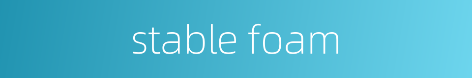 stable foam的同义词
