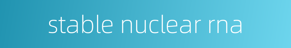 stable nuclear rna的同义词
