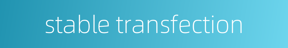 stable transfection的同义词