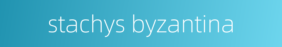 stachys byzantina的同义词