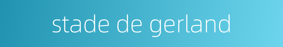 stade de gerland的同义词