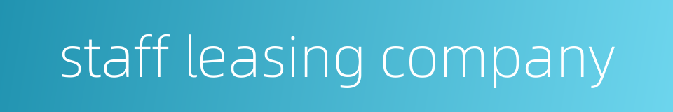 staff leasing company的同义词