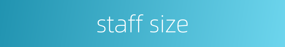 staff size的同义词