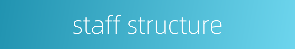 staff structure的同义词