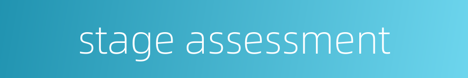 stage assessment的同义词