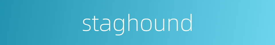 staghound的同义词