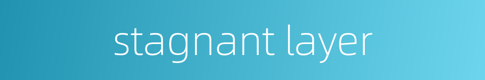 stagnant layer的同义词