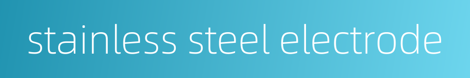 stainless steel electrode的同义词