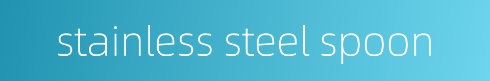 stainless steel spoon的同义词