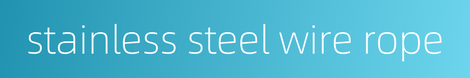 stainless steel wire rope的同义词