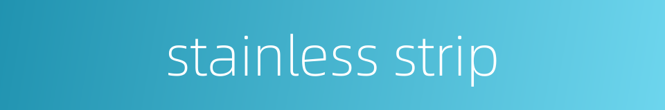 stainless strip的同义词