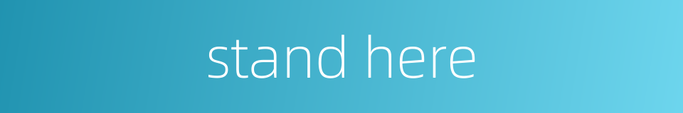 stand here的同义词