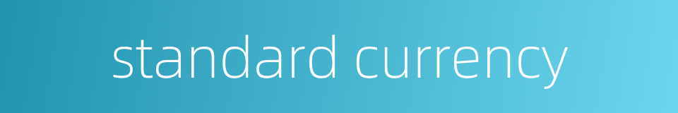 standard currency的同义词
