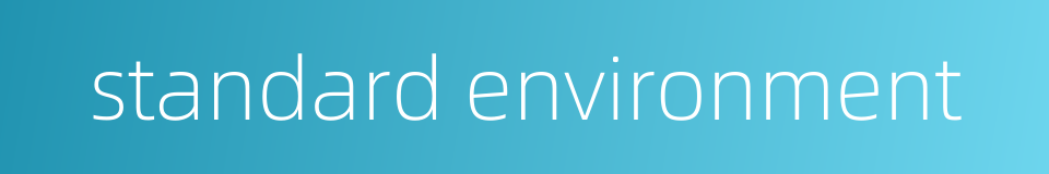 standard environment的同义词