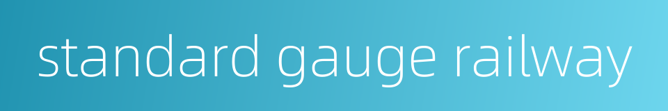 standard gauge railway的同义词