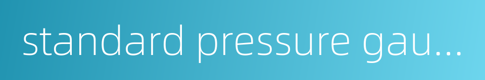 standard pressure gauge的同义词