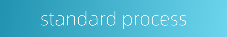 standard process的同义词