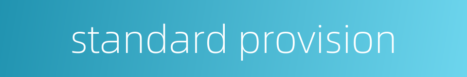 standard provision的同义词