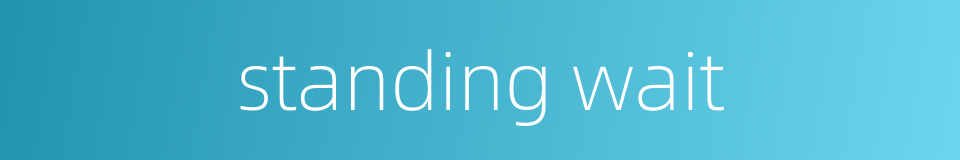 standing wait的同义词