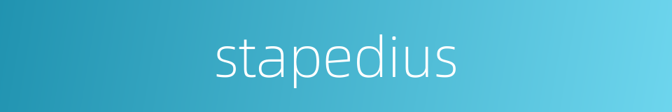 stapedius的同义词