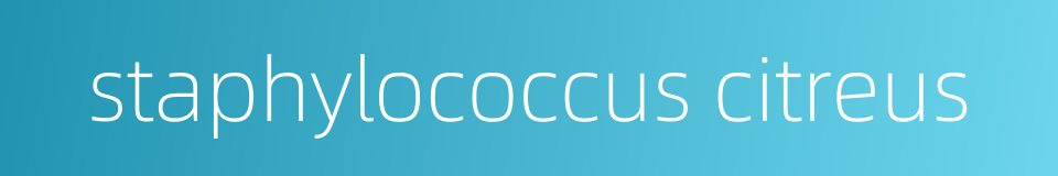 staphylococcus citreus的同义词