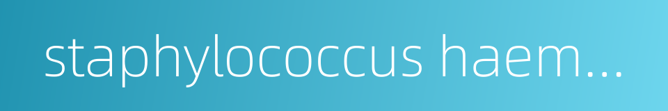 staphylococcus haemolyticus的同义词