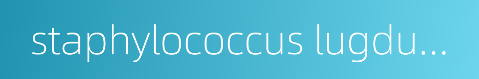 staphylococcus lugdunensis的同义词