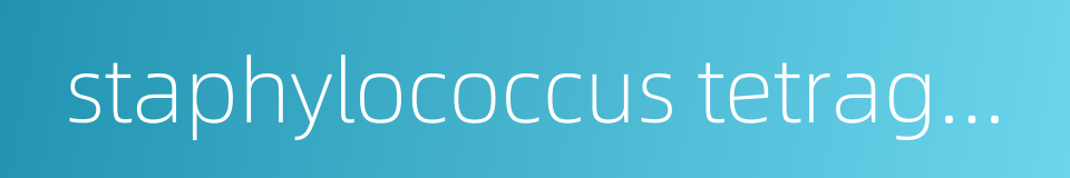 staphylococcus tetragenus的同义词