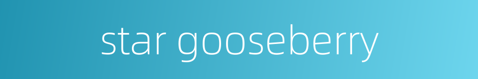star gooseberry的同义词